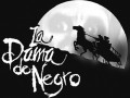 damadenegro damadenegro